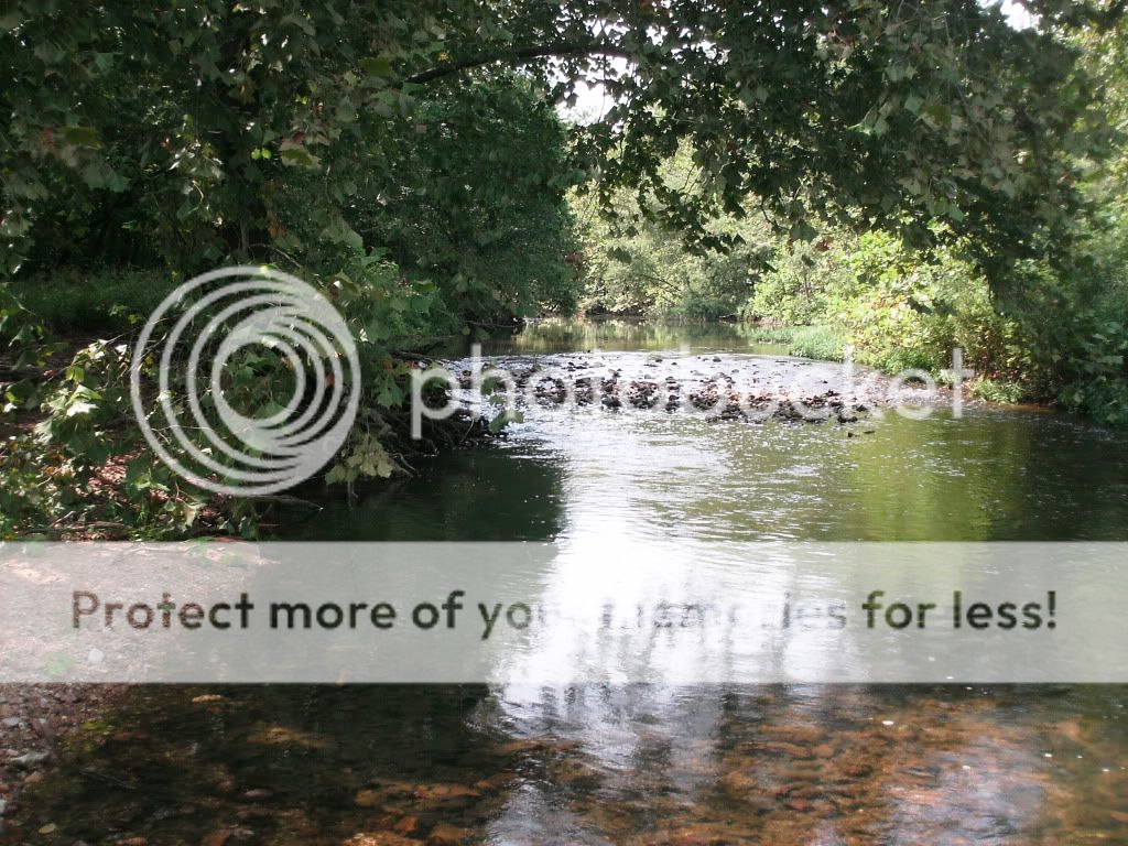 LMBpics051.jpg