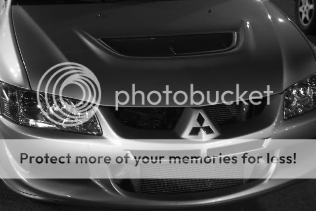 http://i480.photobucket.com/albums/rr161/breetimejay/southgateandcardog034.jpg