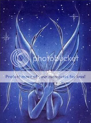 fairy Pictures, Images and Photos