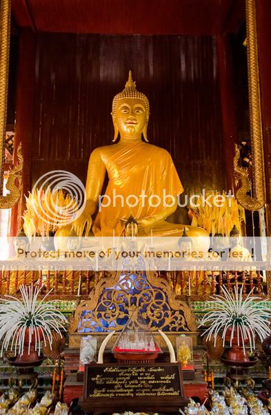 Chiang Mai - Пукет - Пи-Пи - Симилианы. Много фото.