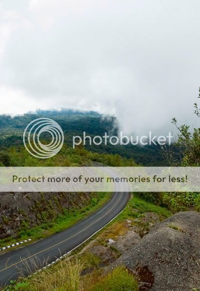 Chiang Mai - Пукет - Пи-Пи - Симилианы. Много фото.