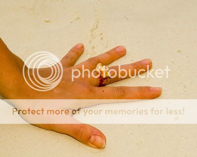 Chiang Mai - Пукет - Пи-Пи - Симилианы. Много фото.