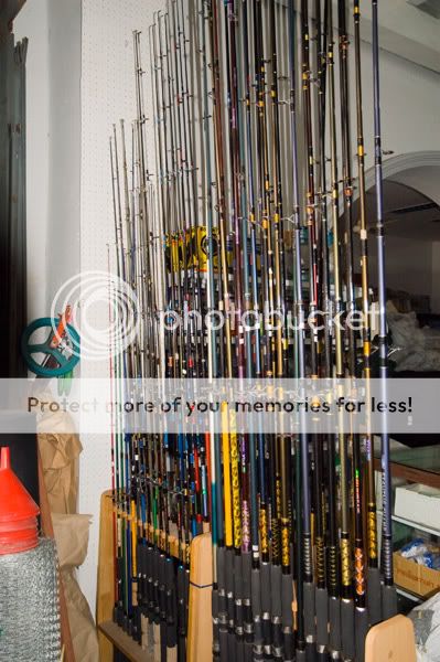 Chiang Mai - Пукет - Пи-Пи - Симилианы. Много фото.