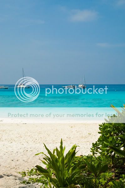 Chiang Mai - Пукет - Пи-Пи - Симилианы. Много фото.