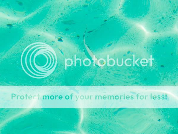 Chiang Mai - Пукет - Пи-Пи - Симилианы. Много фото.