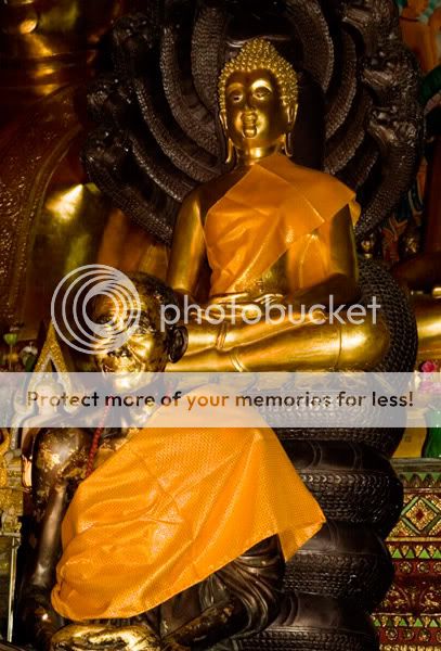 Chiang Mai - Пукет - Пи-Пи - Симилианы. Много фото.