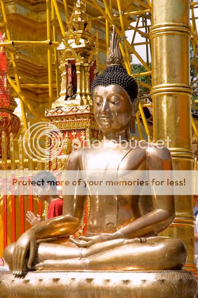 Chiang Mai - Пукет - Пи-Пи - Симилианы. Много фото.