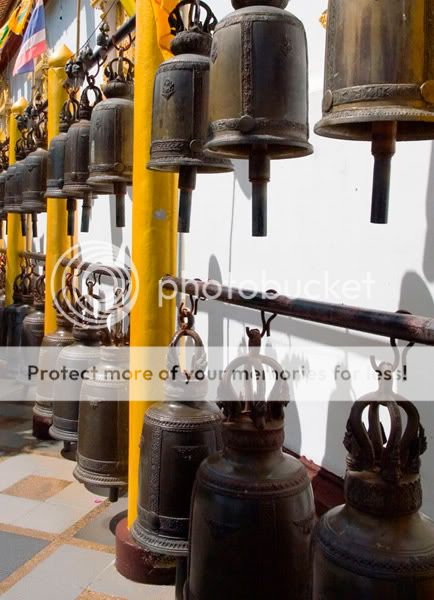 Chiang Mai - Пукет - Пи-Пи - Симилианы. Много фото.