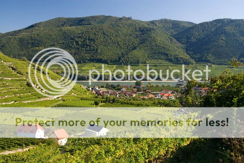 Vinedos del Wachau, Baja Austria / Wachau wineyard, Lower Austria Vinedos del Wachau, Baja Austria / Wachau wineyards, Lower Austria
