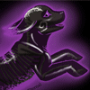 Echo Eternal (Poogle)